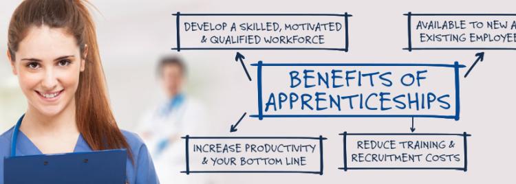 Why employ an apprentice? What are the benefits and what does Tempdent offer?