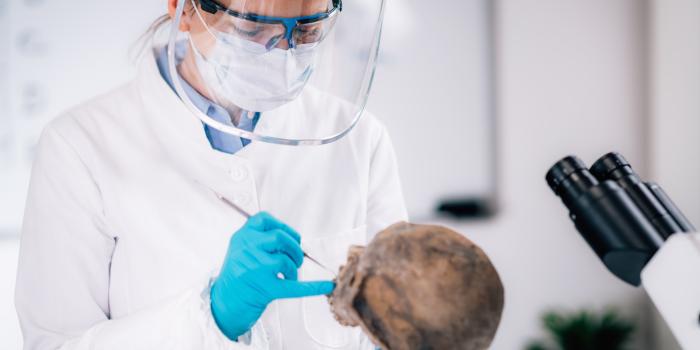 Online CPD - Clinical CPD Module 12 - Forensic Dentistry
