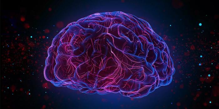 Online CPD - Safeguarding module 12 - Dementia and Neurodiversity